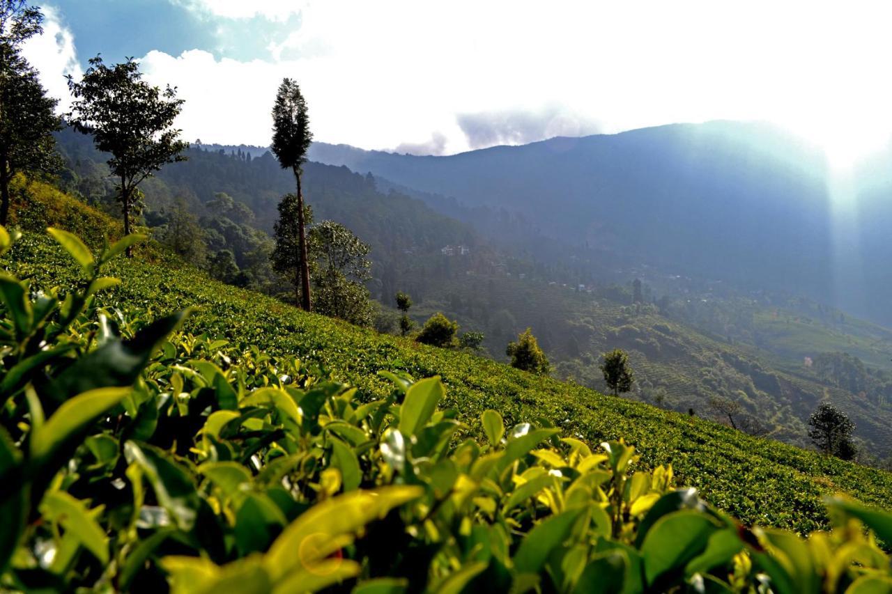 Bed and Breakfast Rangaroon Trekkers Hut Darjeeling  Exterior foto